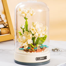 Load image into Gallery viewer, DIY Rose Eternal Flower Music Box, Symbol of Forever Love
