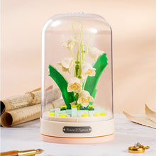 Load image into Gallery viewer, DIY Rose Eternal Flower Music Box, Symbol of Forever Love
